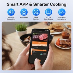 Newise Wireless Bluetooth Meat Thermometer – 2 Probes & 2 Probes, Black/Gray