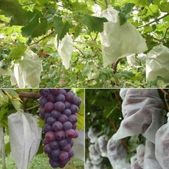 Non Woven Fruit Protection Net 100PCS for Grape Pear Bird Rain Barrier