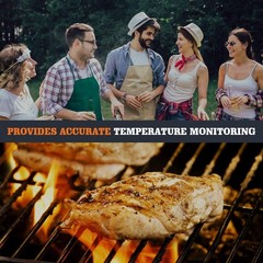 Temp Probe Replacement for Pit Boss Smokers and Grills, Meat 3.5 IN, PROBE