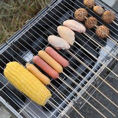 Square Grilling Rack for Fish and Meat Convenient for Camping and Picnics