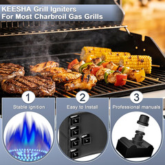 Grill Igniter Replacement Kit for Charbroil (G515-0030-W2), 5 Outlet Electronic