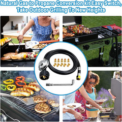 Natural Gas to Propane Conversion Kit for Weber Genesis or Genesis II Grill and