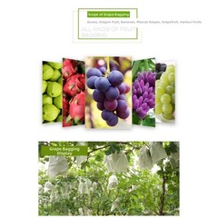 Non Woven Fruit Protection Net 100PCS for Grape Pear Bird Rain Barrier