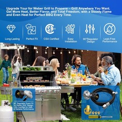 Natural Gas to Propane Conversion Kit for Spirit II 310/315/E310/210,For W