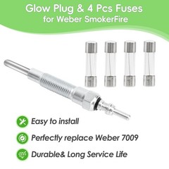 Glow Plug for Wood Pellet Grills, 4pcs 250V Fuses, Replacement for EX4/EX6/EPX6