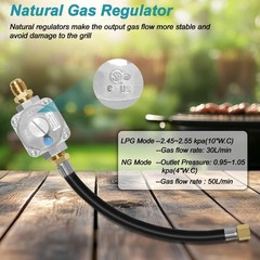 10FT Propane to Natural Gas Conversion Kit for Weber Genesis, Genesis II, Spirit