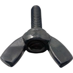 Traeger D2 Series Wing Screw for Mounting the Burn Pot: KIT0246