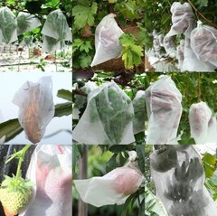 Non Woven Fruit Protection Net 100PCS for Grape Pear Bird Rain Barrier