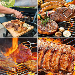 Hot Rod Igniter Kit for Traeger Wood Pellet Grill Smokers Pit Boss Pellet Stove