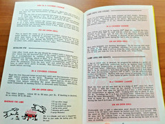 Sears Barbecuing For You Barbecue Owners Manual Recipe Book Grills 1967