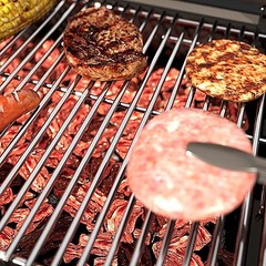 KIKIBRO Stainless Steel Cooking Grill Grates 19.25″D x 30″W,