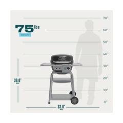 3-in-1 Dual Fuel Grill & Griddle w/ Charcoal Mode, Black