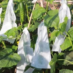 Non Woven Fruit Protection Net 100PCS for Grape Pear Bird Rain Barrier
