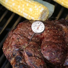 Escali AH1 Stainless Steel Oven Safe Meat Thermometer, Extra Analog Silver
