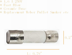 Fuse Replacement for Traeger, Pit Boss, Z Grills & Weber Wood Pellet Grills (1.6