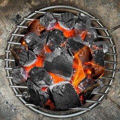Stainless Steel High Heat Charcoal Fire Grate Fits Large/MiniMax Big Green Eg…