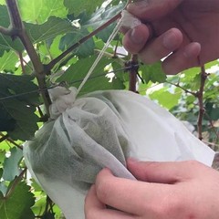 Non Woven Fruit Protection Net 100PCS for Grape Pear Bird Rain Barrier