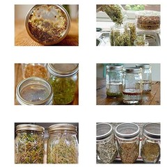 Easy to Use Stainless Steel For Sprouting Stands for Home Growing 6 Piece Kit
