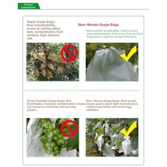 Non Woven Fruit Protection Net 100PCS for Grape Pear Bird Rain Barrier