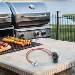Reliable Kitchen Ignition System with Dual Electrode for Optimal Performance