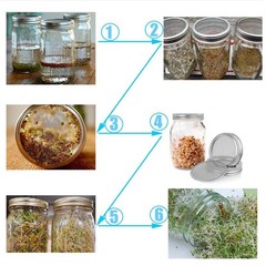 Easy to Use Stainless Steel For Sprouting Stands for Home Growing 6 Piece Kit