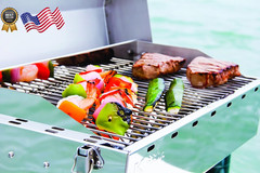 58130 Stow N’ Go 160 Gas Grill FREE SHIPPING USA ONLY