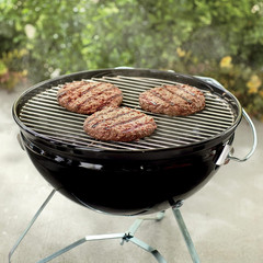 Cooking Grate