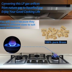 LP Gas Conversion Kit for Electrolux Cooktops – 12 Orifices