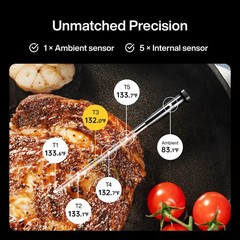 Typhur Sync One Smart Wireless Meat Thermometer: Standalone Base with LCD Dis…