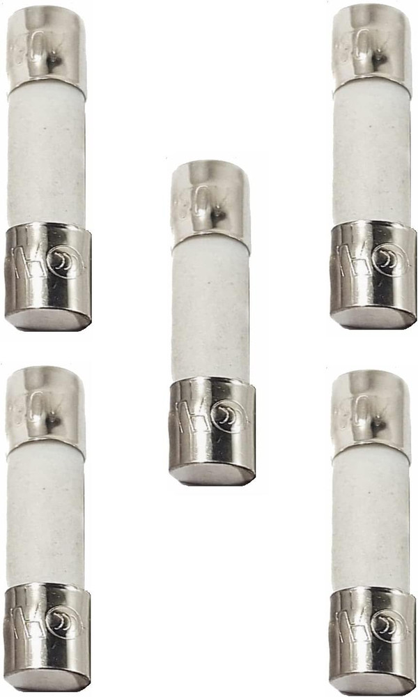 Fuse Replacement for Traeger, Pit Boss, Z Grills & Weber Wood Pellet Grills (1.6
