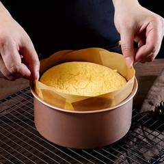 4 Round Baking Liners PTFE Reusable Non-Stick for Home Kitchen Oven Use