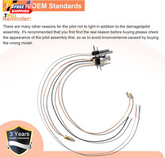 10002264 Natural Gas 3 Way Pilot Assembly Kits for HHT Majestic Monessen Temco