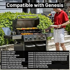Natural Gas to Propane Conversion Kit for Weber Genesis or Genesis II Grill, Web