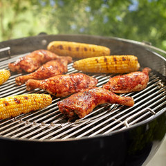 Gourmet BBQ System Hinged Cooking Grate – Add Charcoal without Removing Grate, I