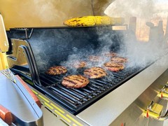 EasiBBQ Emitter Plates for Charbroil Grill 463242515, Plates, Sliver