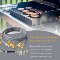 Upgraded 10Ft Upgraded Propane to Natural Gas Conversion Kit for Weber Genesis,