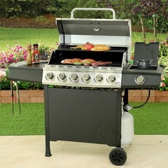 4ft Hose and Regulator Kit for BBQ Grills Fire Pits and Outdoor Adventures