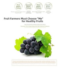 Non Woven Fruit Protection Net 100PCS for Grape Pear Bird Rain Barrier