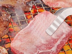 -The Bushcraft Backpacker’s Grill Grate – Welded Stainless Steel Mesh (Upgrad…