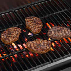 18″ Grill Grates Cast Iron Replacement Parts for Charbroil Performance 2 Burner