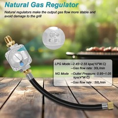 10FT Propane to Natural Gas Conversion Kit for Weber Genesis, Genesis II, Spirit