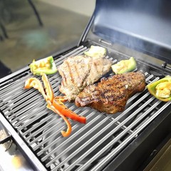 Stainless Steel Grill Grate for Blackstone Tailgater 1555 15 Inch Cooking Grids