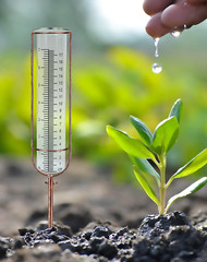 7″ Plastic Rain Gauge Replacement Tube, 8.25 X 2.25 X 1.75 Inches Cold Resistanc