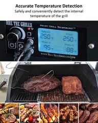 2 Pack Temperature Meat Probe Probe, stainless steel