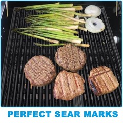 17″ Emitter Plate for Charbroil Performance 2-Burner 463655621 for 2 Burner