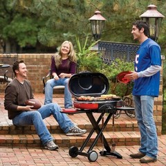 Cast Iron Cooking Griddle and Grates Replacement Parts for Coleman Roadtrip 285
