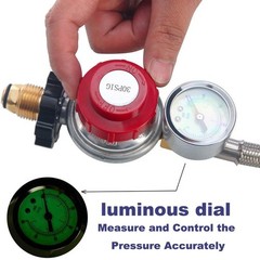 12FT High Pressure Propane Regulator with Hose, Adjustable 0-30 PSI silver