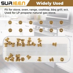 Natural Gas to Propane Orifice Conversion Kit with 36 Replacement Tips