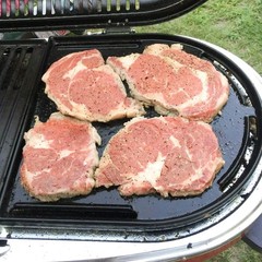 Cast Iron Grill Griddle for Coleman RoadTrip Swaptop LX LXE LXX, Non-Stick Pan