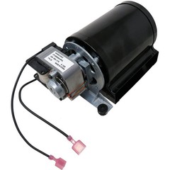 True North Circulation Blower Motor: 80000905-AMP